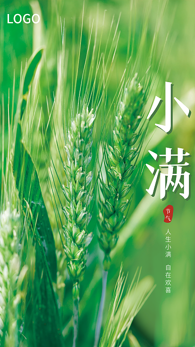 简约小清新节气LOGO传统节气小满宣传海报