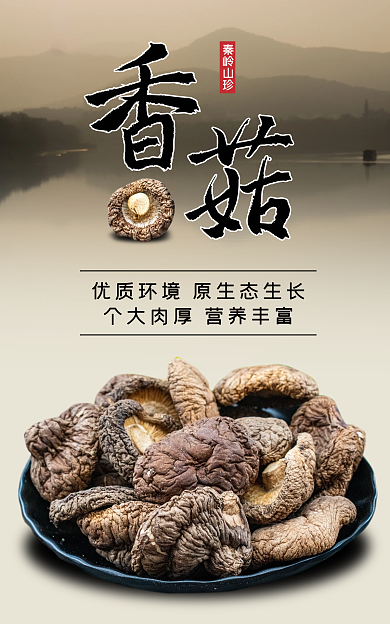 农家土特产秦岭山珍海报banner