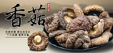 农家土特产秦岭山珍海报banner