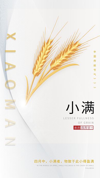 二十四传统小满四月中大气简洁宣传海报