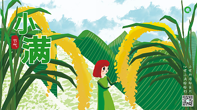 小满美食节气展板海报