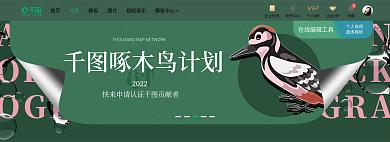 酸性撞色啄木鸟计划2022banner