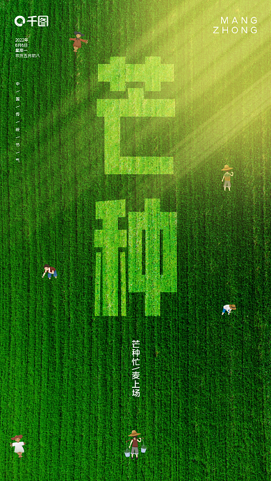 麦田芒种MANGZHONG创意手机海报