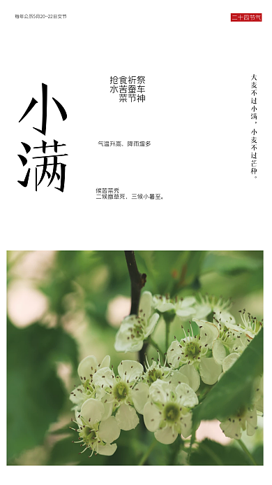 简约小满祭车神祈蚕节