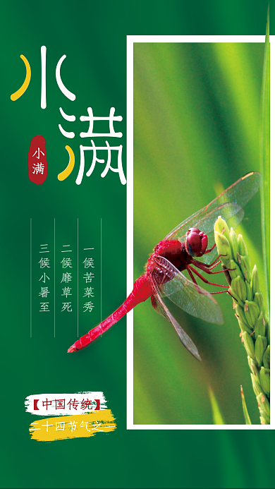 初夏绿色小满一候苦菜秀麦穗小满节气海报