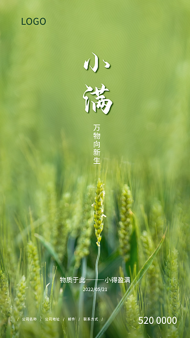 小满节气物质于此小得盈满手机海报