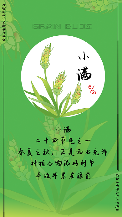 小清新小满小满春夏之秋节气海报