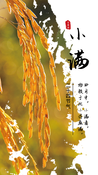 二十四节气小满四月中小满者海报