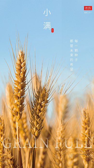 小满节日海报小麦节气海报二十四节