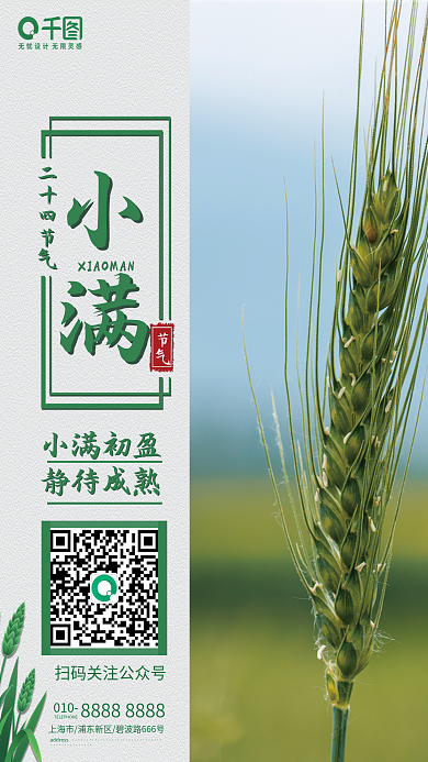 简约小满小满初盈静待成熟海报