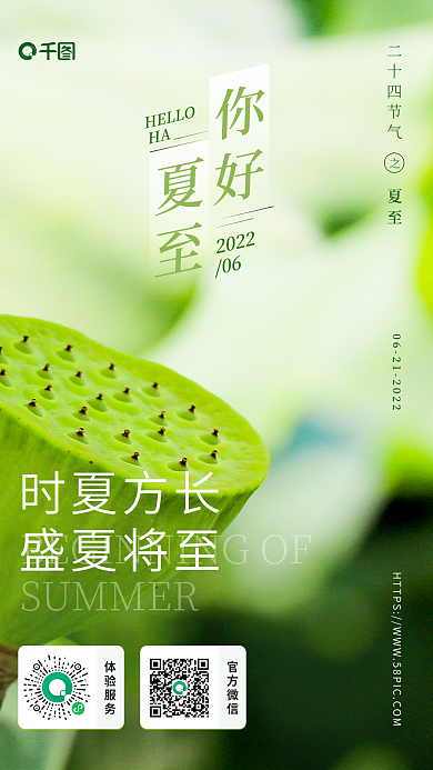简约荷花2022HELLO节气海报