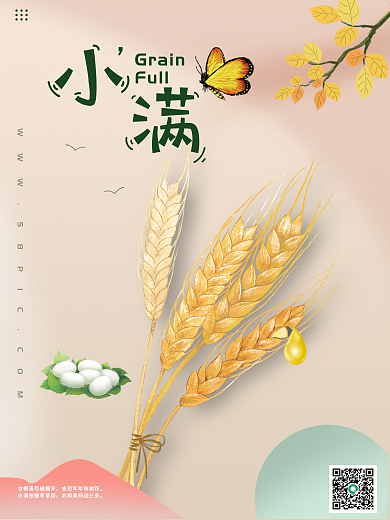 二十四节气小满GrainFull清新