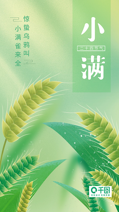 节气海报小满雀来全小满乌鸦叫小满雀来全