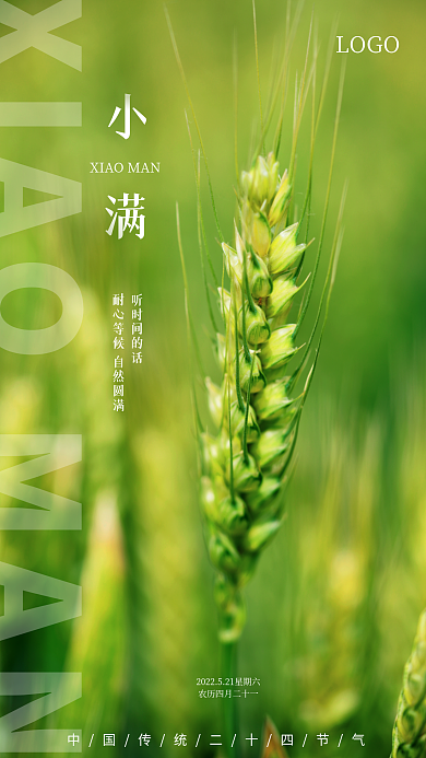 小满节气听时间的话LOGO海报素材