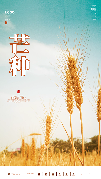 芒种海报素材简约小麦