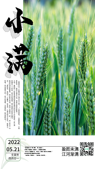 传统二十四节气小满盈而未满节气海报