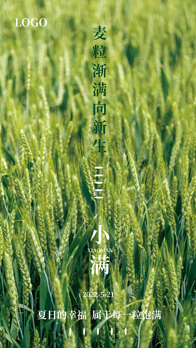 小满简约小满LOGO节日海报