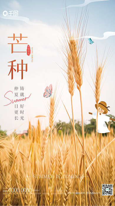 简约芒种麦田节气海报