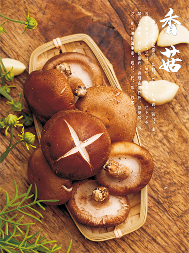 新鲜香菇香菇植物皇后美食海报