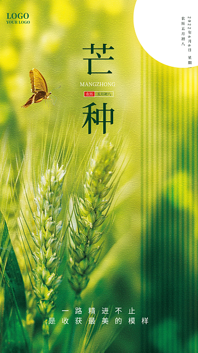 简约大气LOGO芒种海报