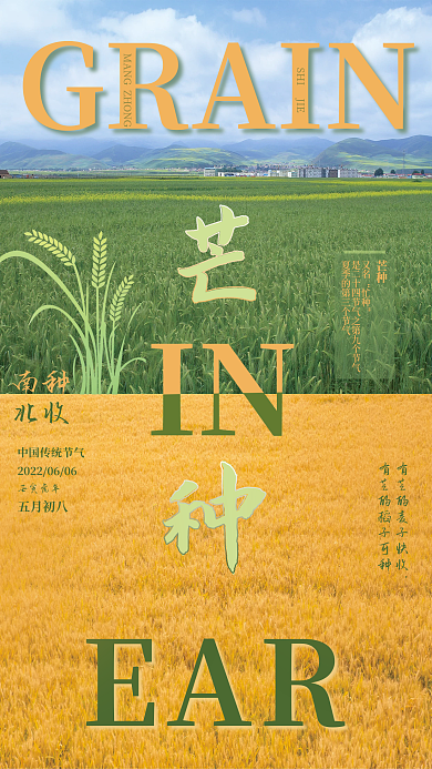 传统二十四节气GRAININ黄芒种摄影创意宣传海报