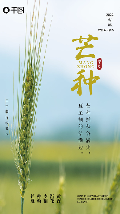 绿色简约芒种MANG节日海报芒种