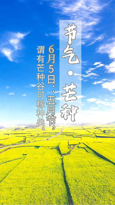 芒种节日天空田地风景