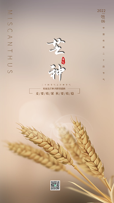 简约芒种传统节气节日品牌借势海报