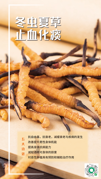 冬虫夏草好处多多冬虫夏草止血化痰