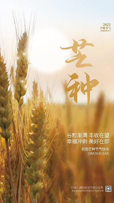 简约清新芒种节气2022传统节日摄影图宣传海报