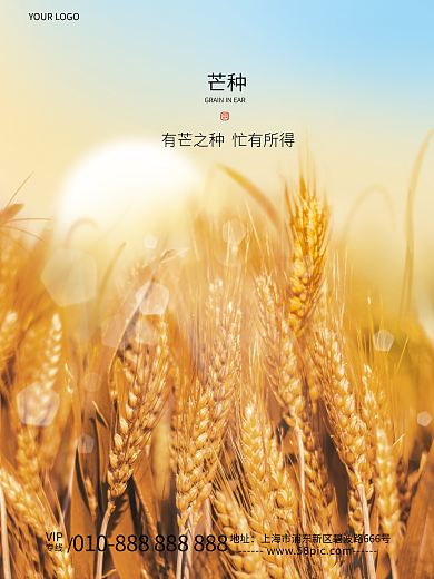 简约摄影专线VIP节气海报