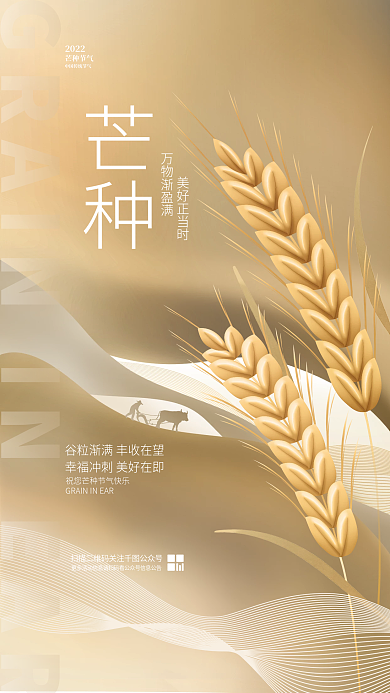 简约创意芒种万物渐盈满传统节日活动宣传海报