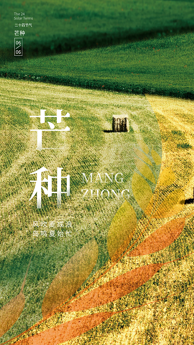 创意简约风吹麦成浪鸟鸣夏始忙节日海报