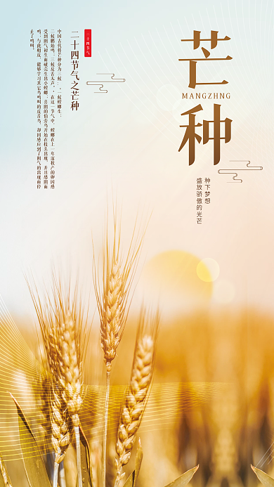 小清新简约二十四节气一候螳螂生麦田光线芒种节气海报