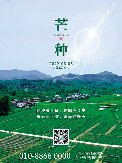 简约芒种传统节气节气海报