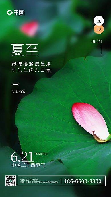 夏至摄影图荷叶荷花清新商务营销手机海报