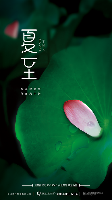 简约摄影图二十四节气蝉鸣绿荫里地产借势创意海报