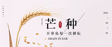 简约节气之芒种公众号封面图海报