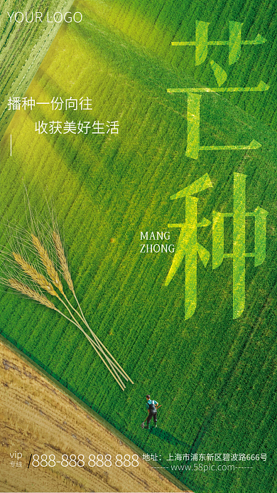 创意简约专线vip二十四节气芒种海报