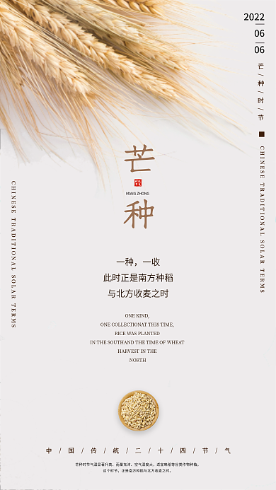 简约大气芒种时节雨量充沛节日新媒体手机海报
