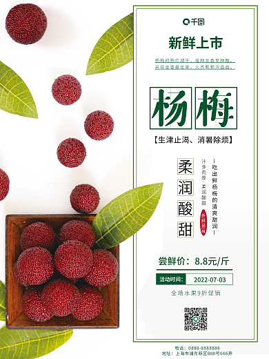 夏季时令杨梅【生津止渴销售海报