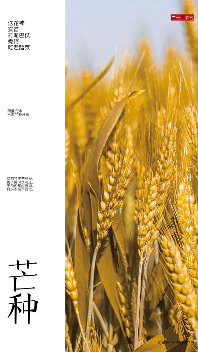 二十四节气芒种二十四节气送花神海报