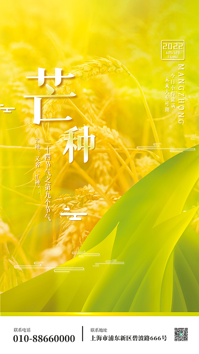 创意芒种联系电话联系地址节气海报