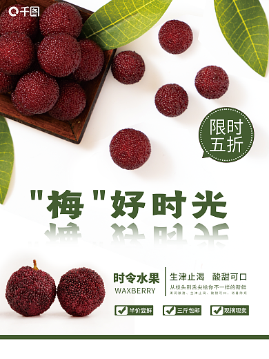 水果杨梅梅好时光限时销售海报