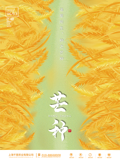 金色麦地址传统芒种海报