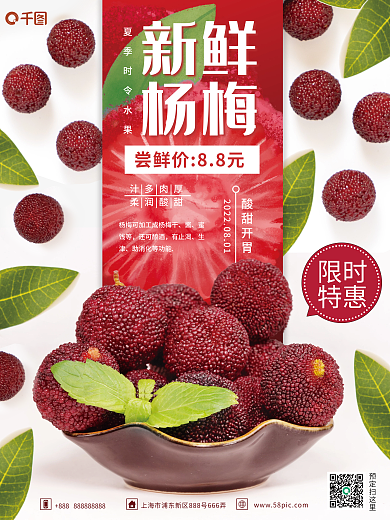 时令水果新鲜杨梅销售海报