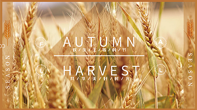 美丽秋天色彩时刻收获果实美好时光