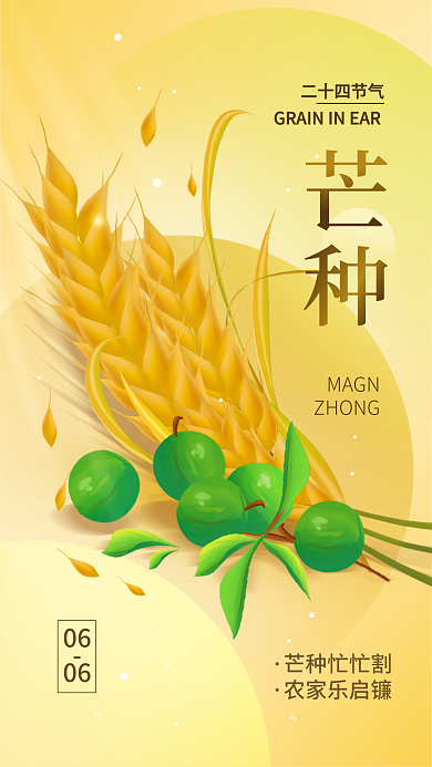 芒种二十四节气简约手机海报