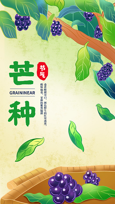 桑葚插画酸味偏重插画绿色手绘桑葚手机海报
