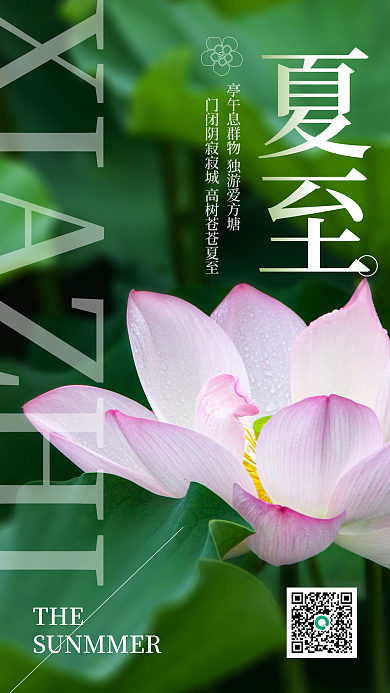 荷花夏至节气手机借势海报